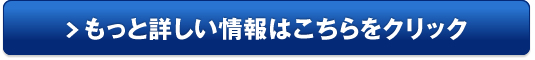 デイズ販売サイトへ